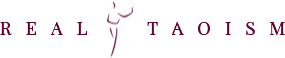 logo 61